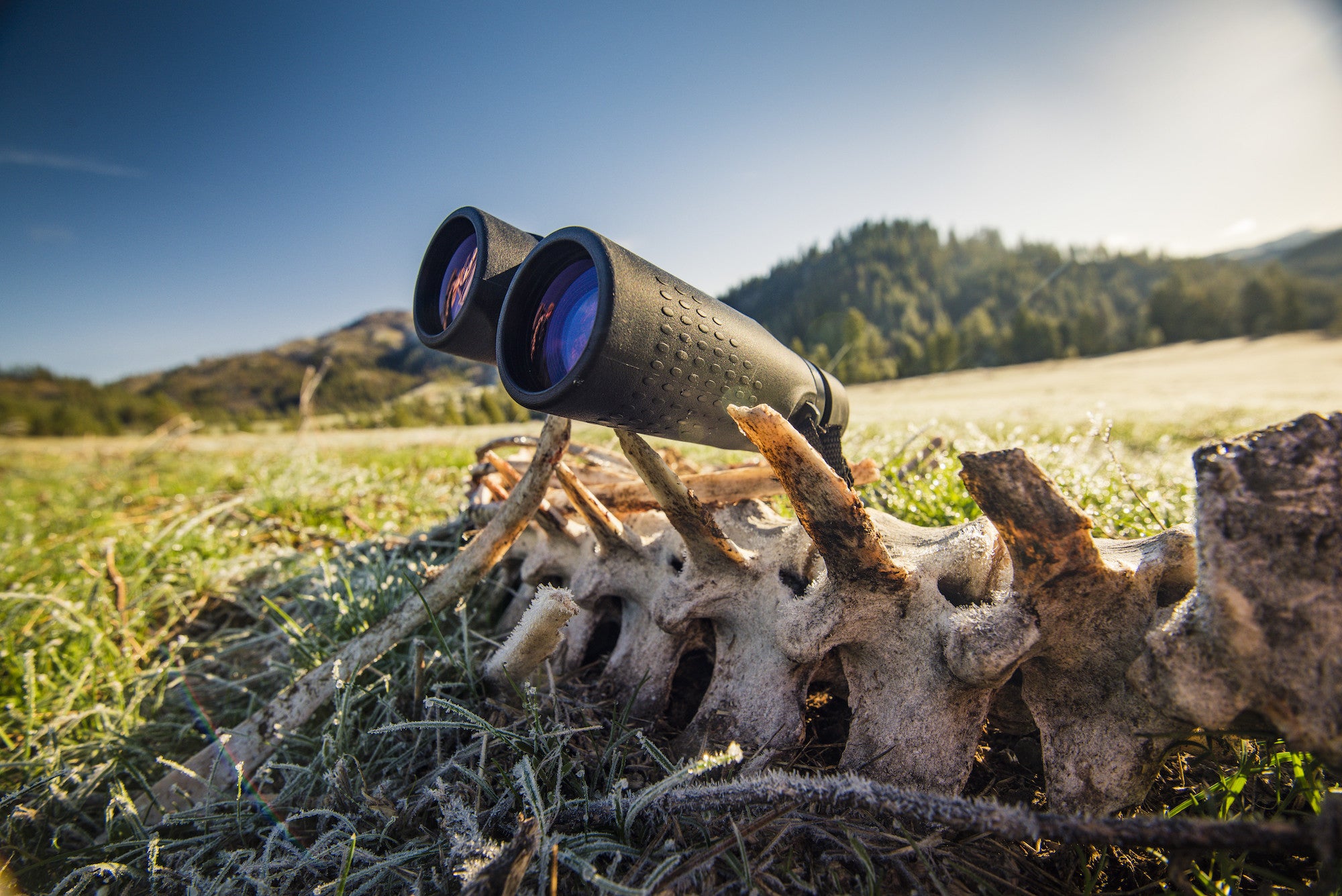 Upland Optics Perception HD 8x42mm Hunting Binoculars Upland Optics